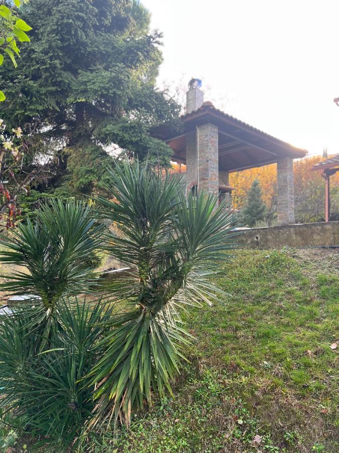 House In The Woods Apartment คาร์ดิทซา ภายนอก รูปภาพ