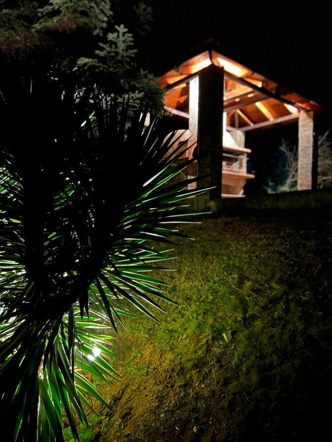 House In The Woods Apartment คาร์ดิทซา ภายนอก รูปภาพ